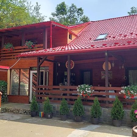 Cabana Alpha Baia Mare Exterior photo