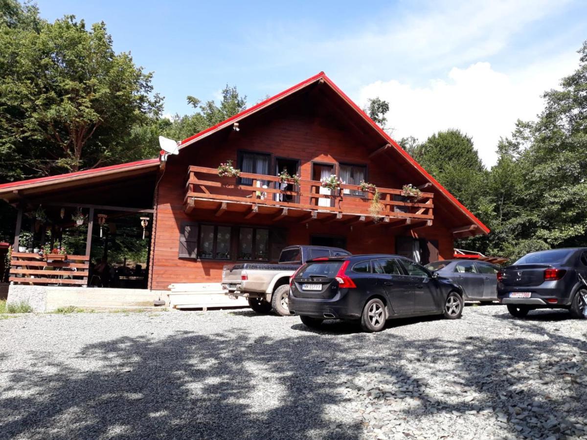 Cabana Alpha Baia Mare Exterior photo