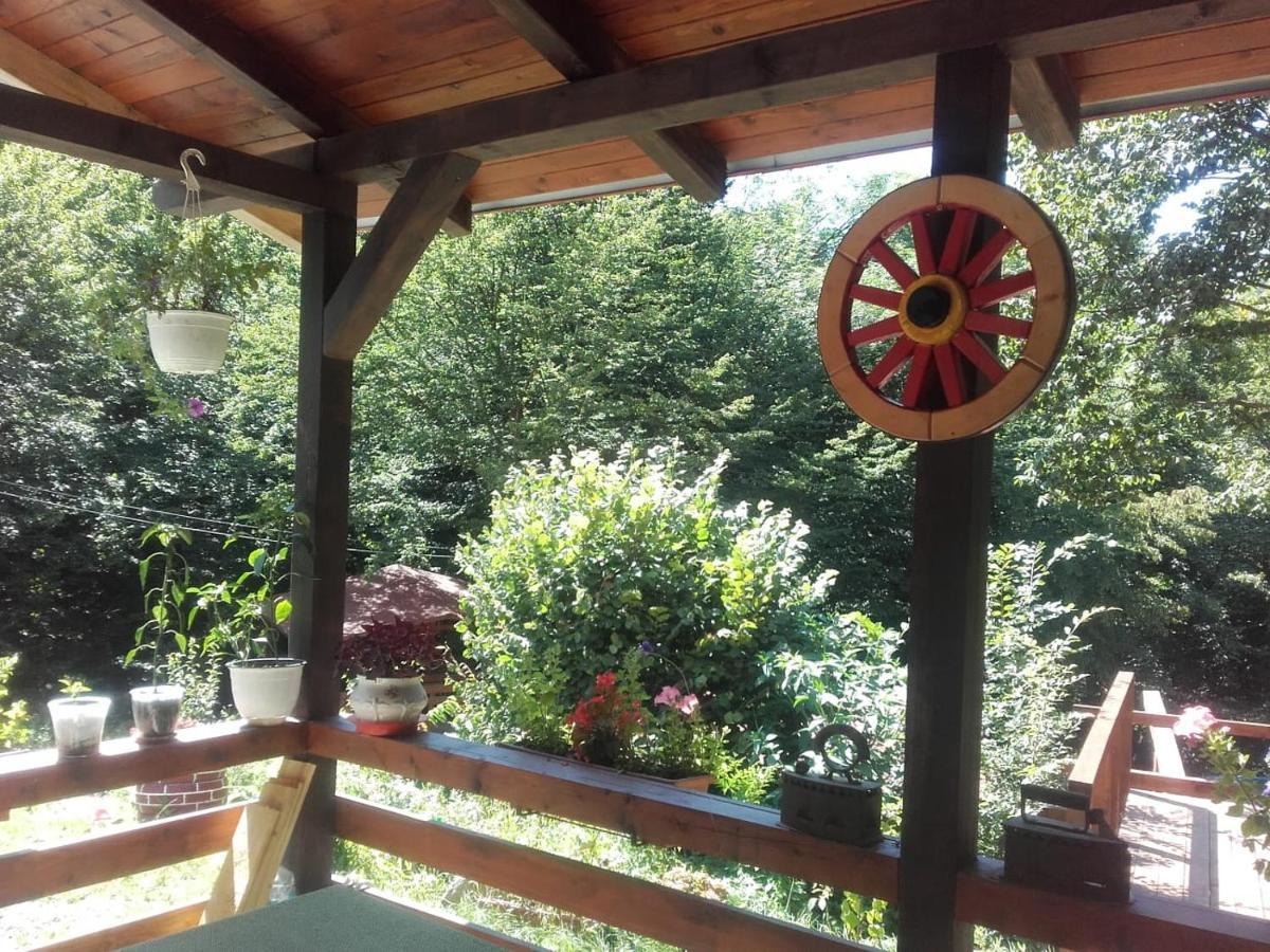 Cabana Alpha Baia Mare Exterior photo