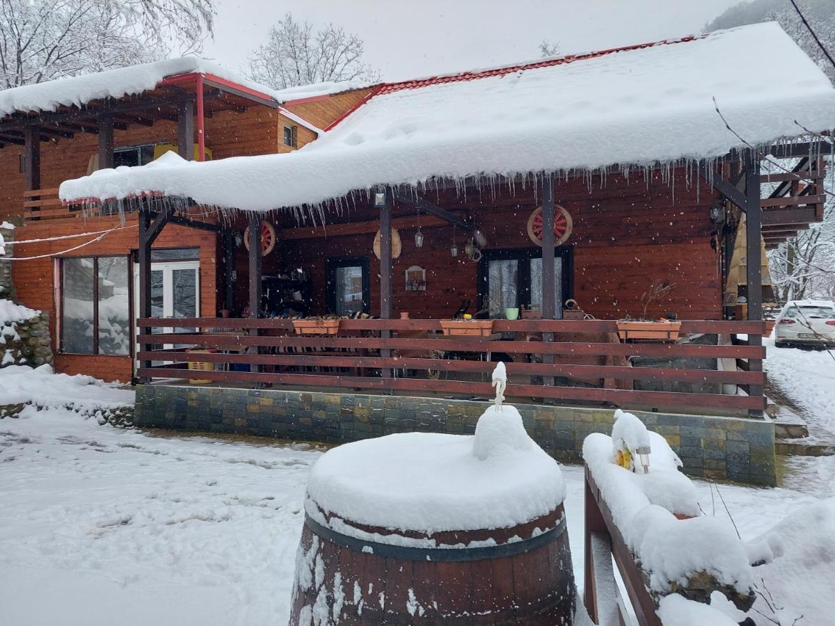 Cabana Alpha Baia Mare Exterior photo